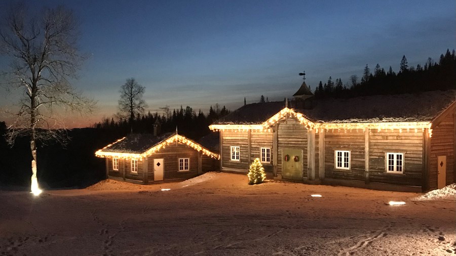 Juletregården i Skogen på Solli i Asker 